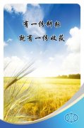 kaiyun官方网站:最大轮压计算公式(吊车最大轮压计