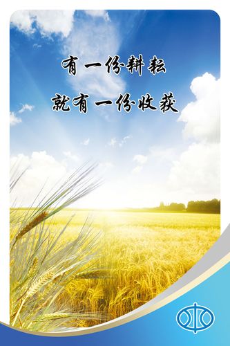 kaiyun官方网站:最大轮压计算公式(吊车最大轮压计算公式)